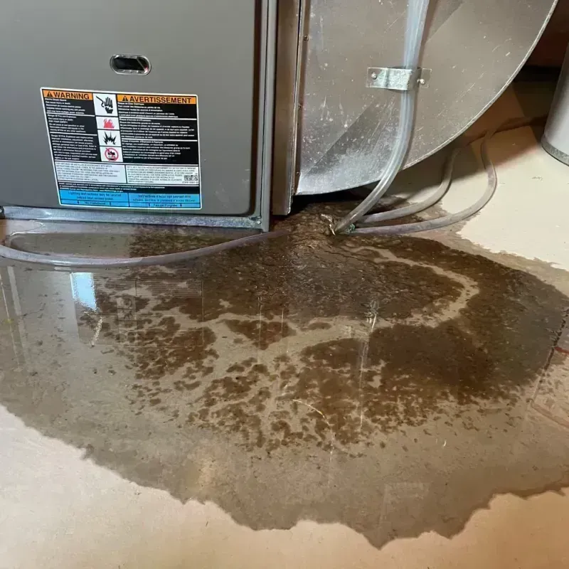 Appliance Leak Cleanup in Rancho San Diego, CA